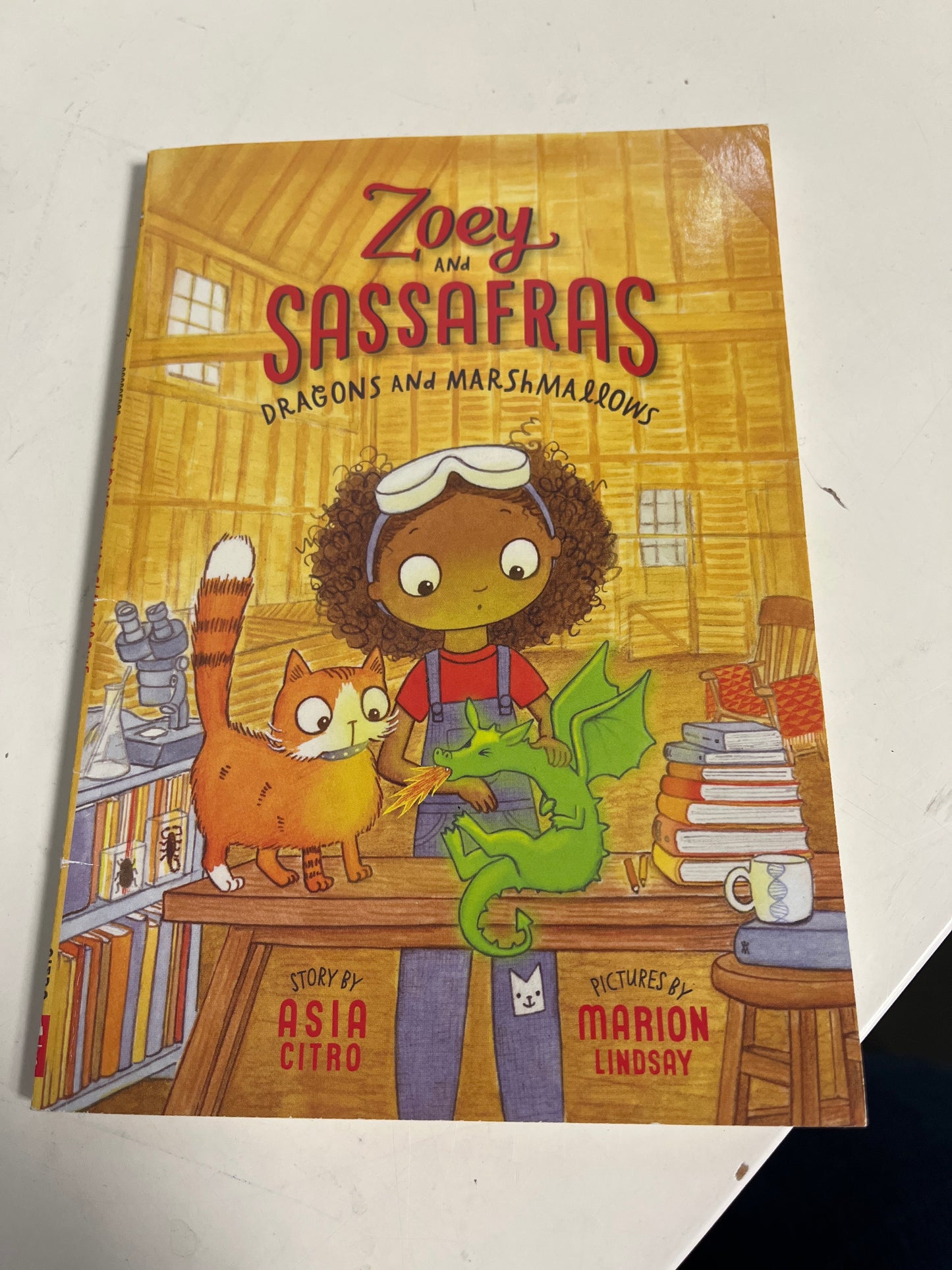 Zoey & Sassafras Dragons & Marshmallows Book