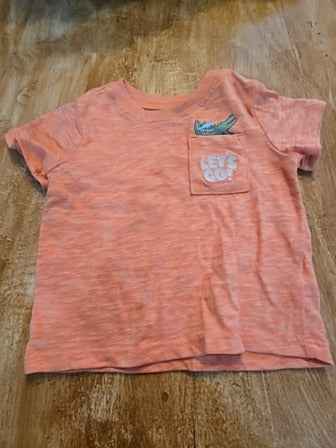Orange Garanimals Lets go alligator shirt, 12M B