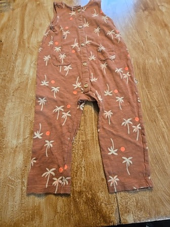 Brown Cat & Jack Pant one piece palm tree, 12M B