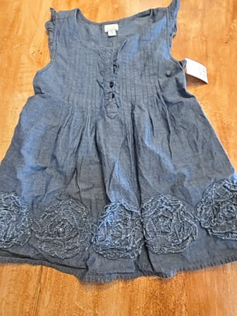 Denim Childrens Place Dress, 5T G
