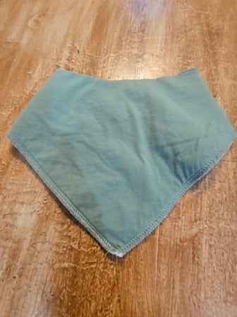 Green Bib