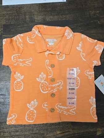 Orange Garanimals Pineapple shirt, NB B