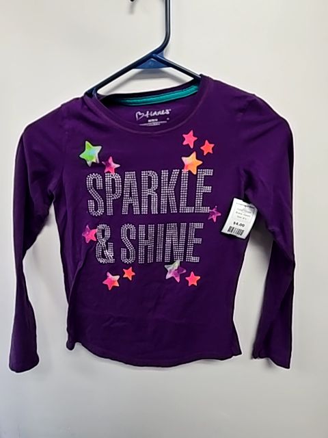Purple Hanes Longsleeve Shirt, 8 G