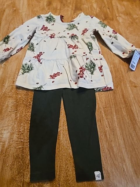 Cream/Green/Red Burt's Bees Baby Outfit, 12M G