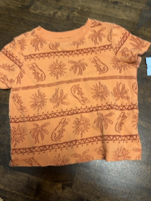Orange Old Navy Shirt, 18M B