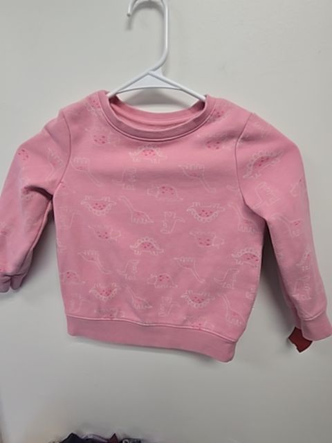 Pink Dino Cat & Jack Longsleeve Shirt, 4T G
