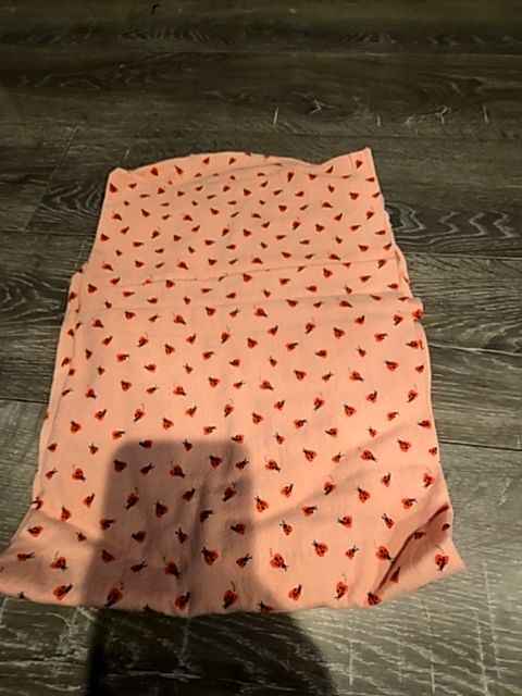 Pink Ladybug blanket