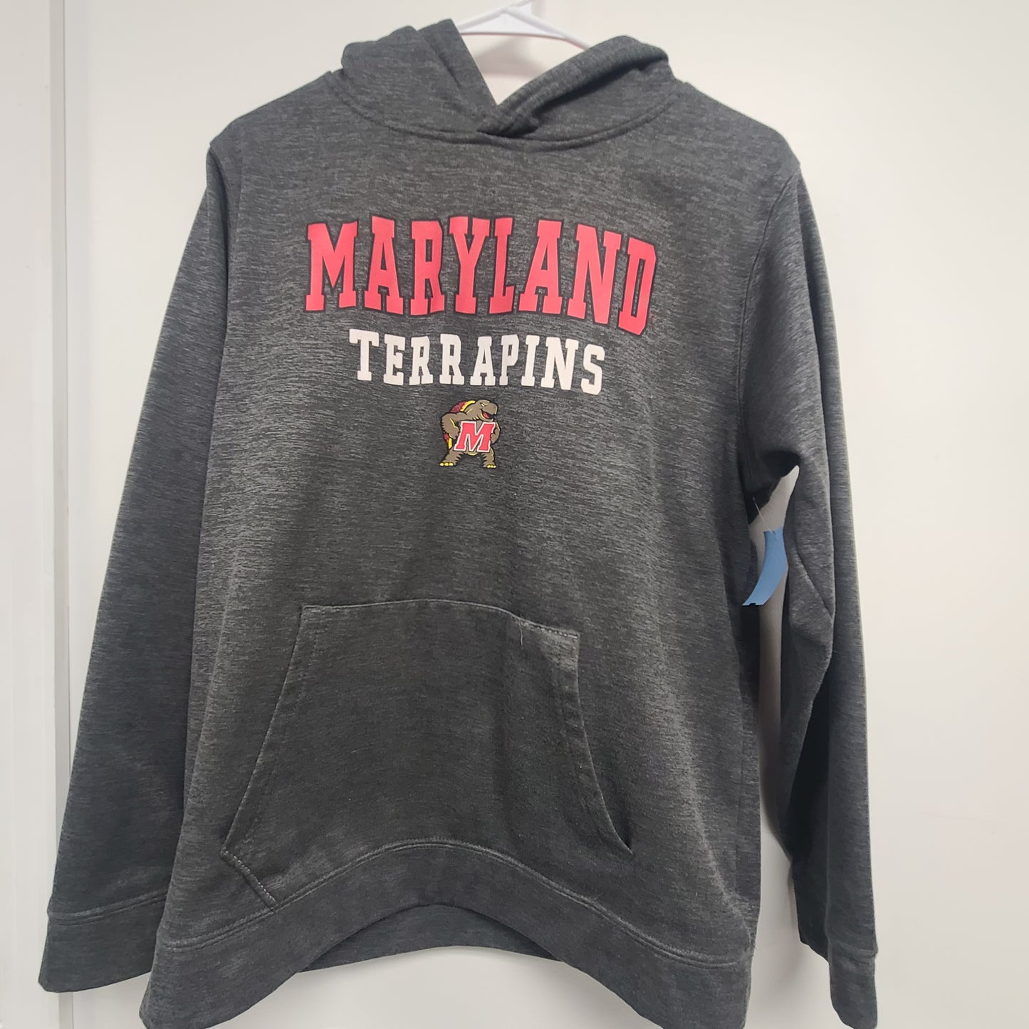 grey Colosseum Tarpans Hoodie, 18 B