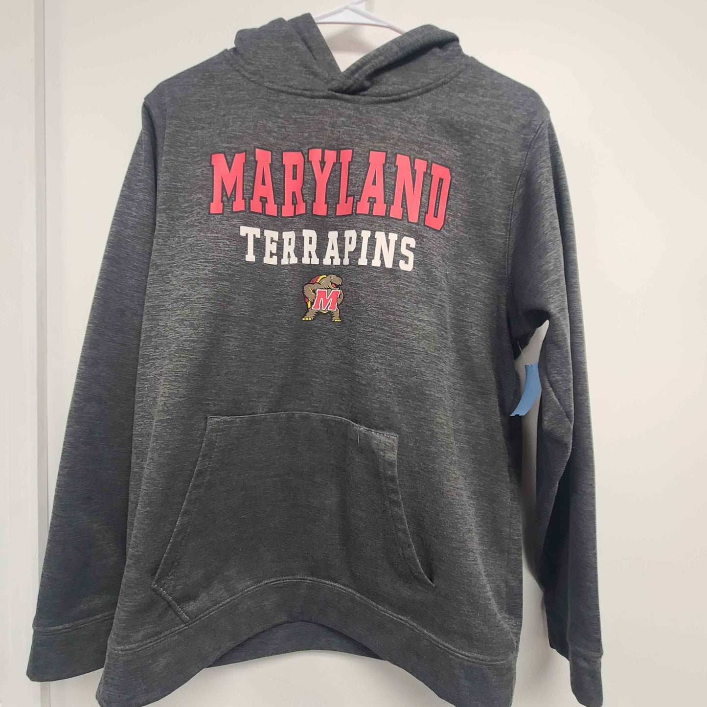 grey Colosseum Tarpans Hoodie, 18 B