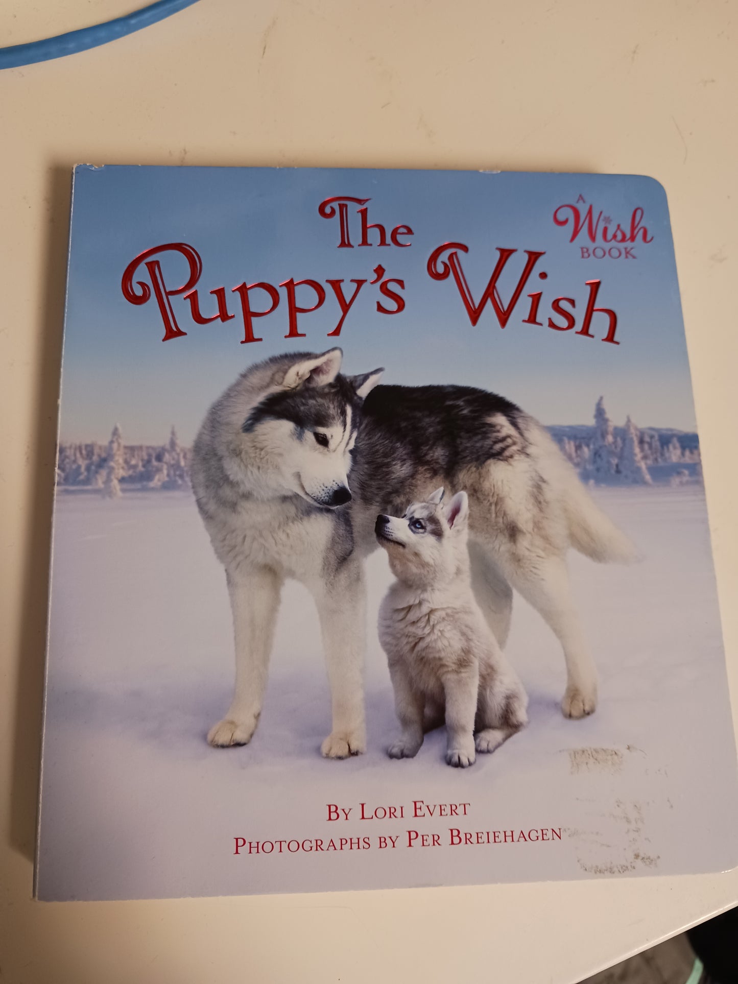 The Puppy's Wish Book