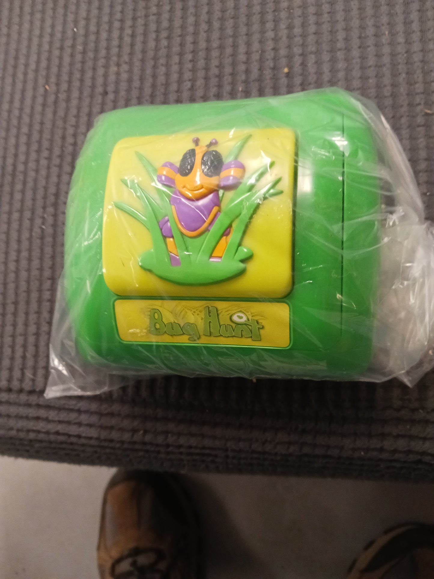 Bug Hunt Game w/cards