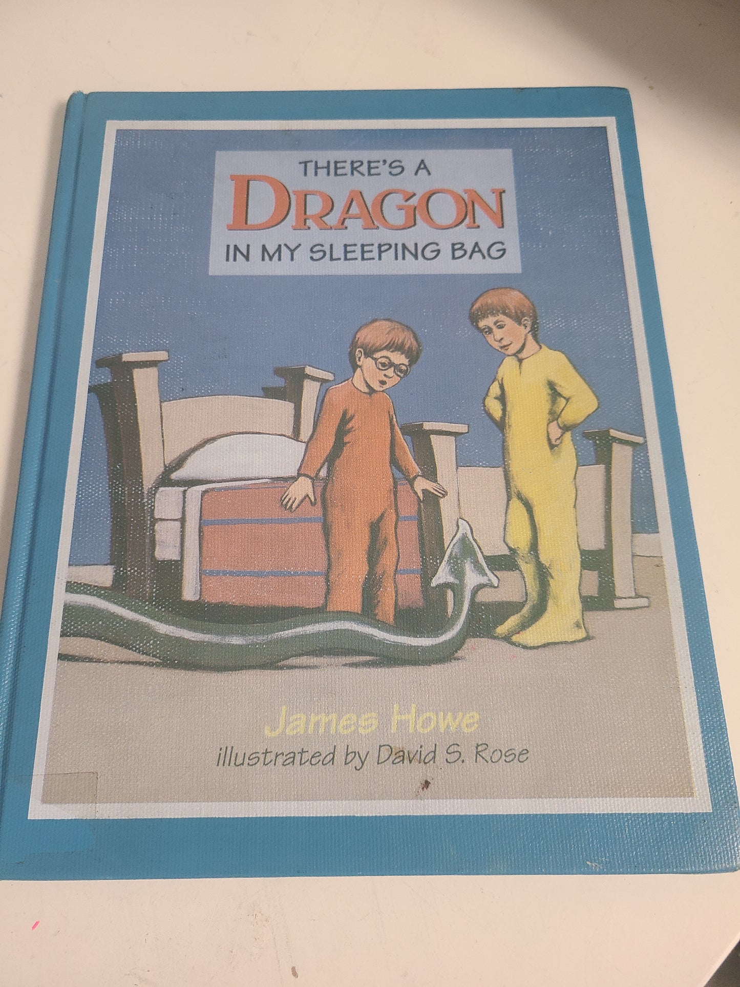 There's A Dragon in my sleeping Bag