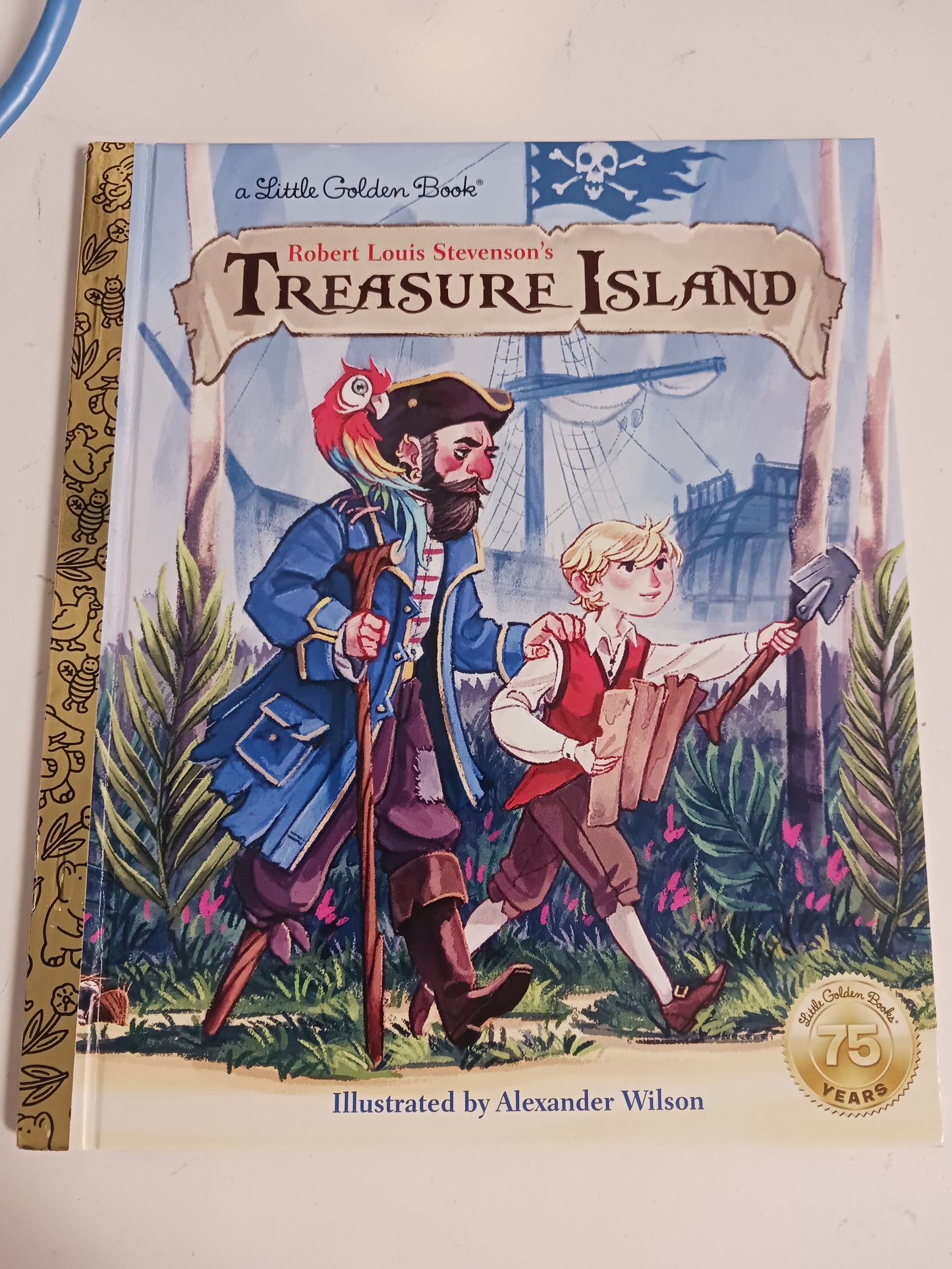 Treasure Island Book