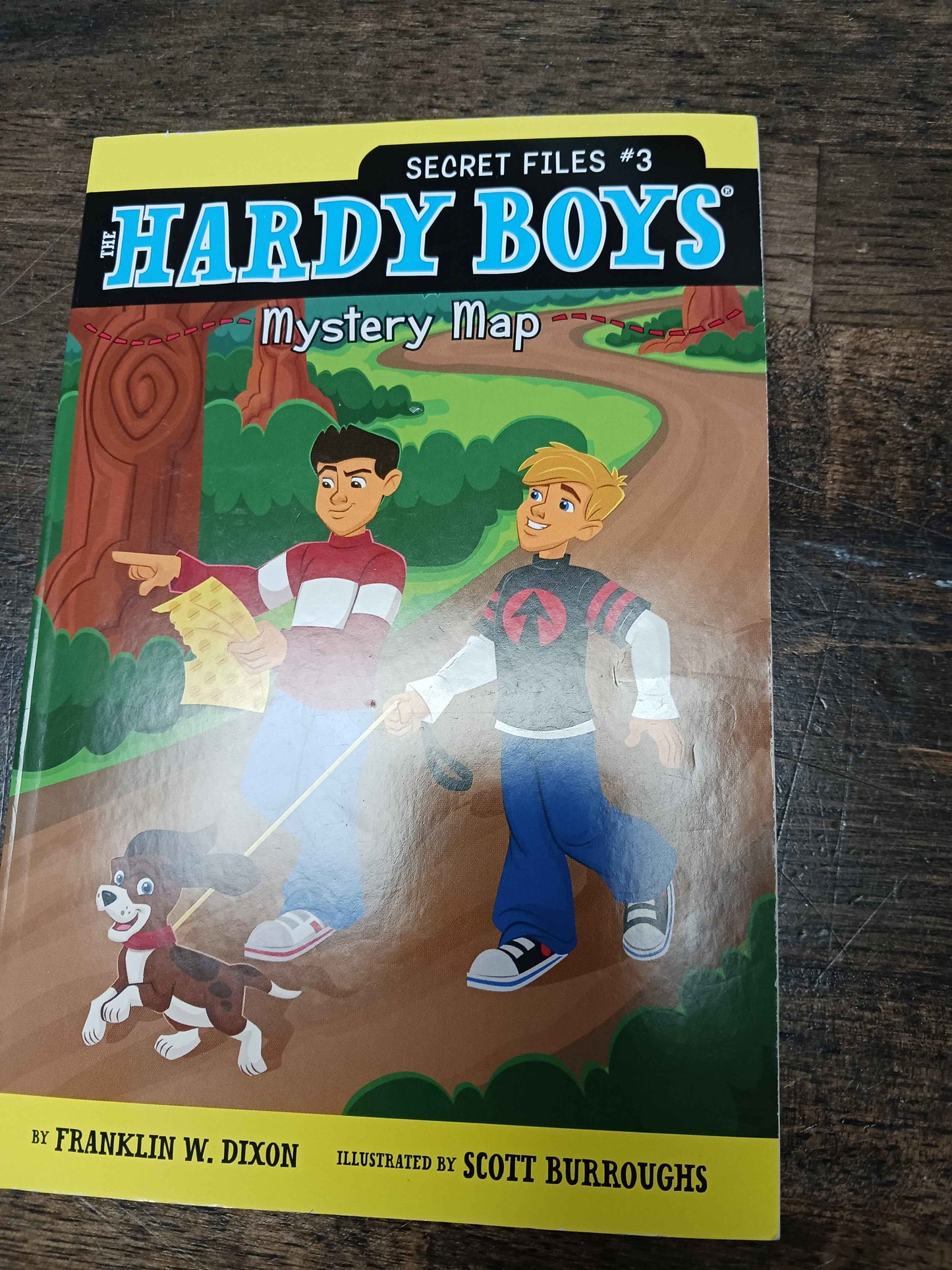 Hardy Boys #3