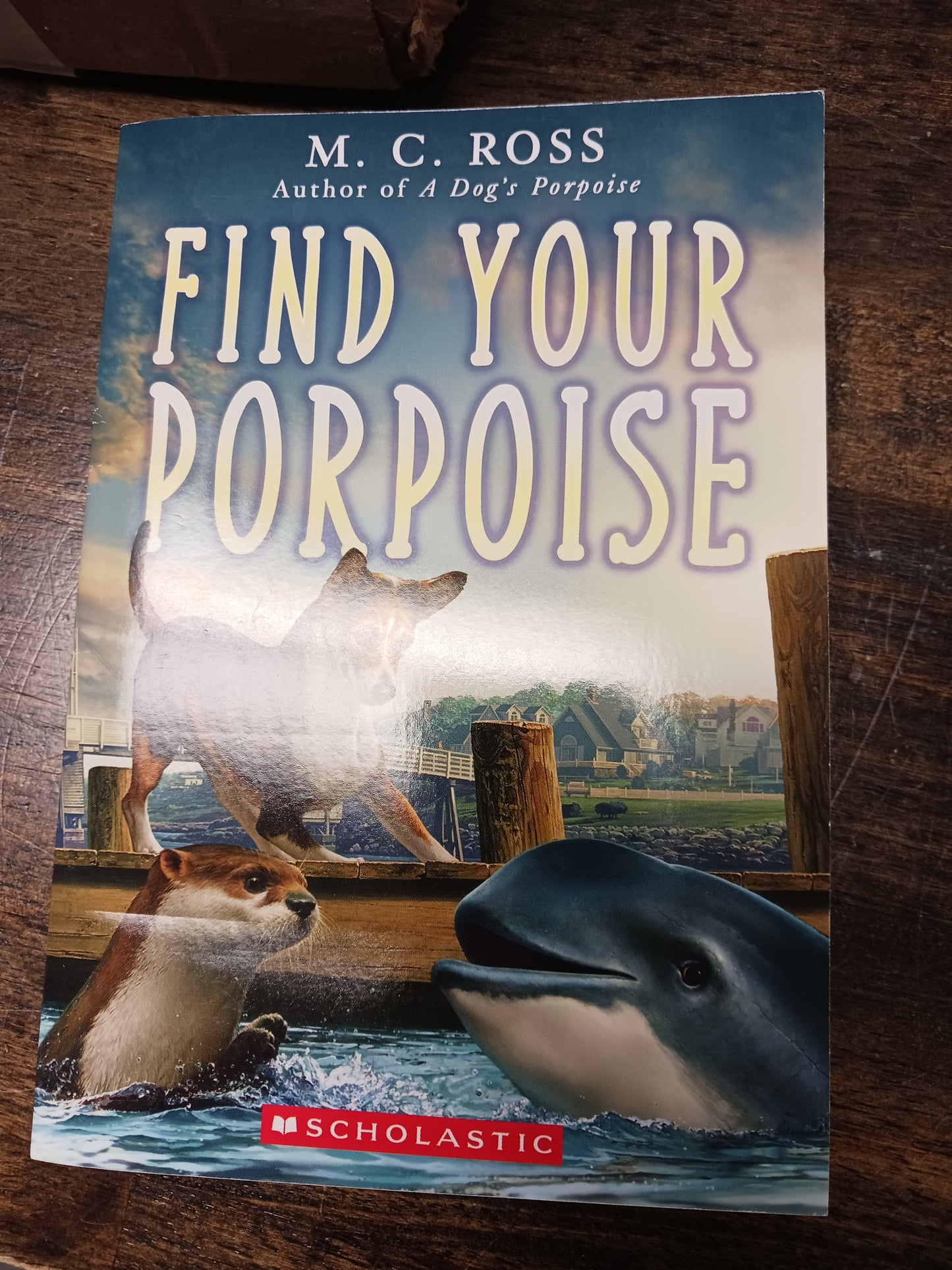 Find Your Porpoise Book