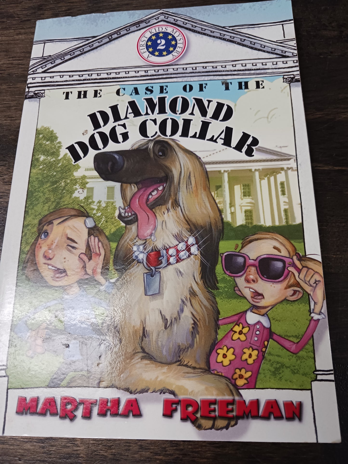 Diamond Dog Collar