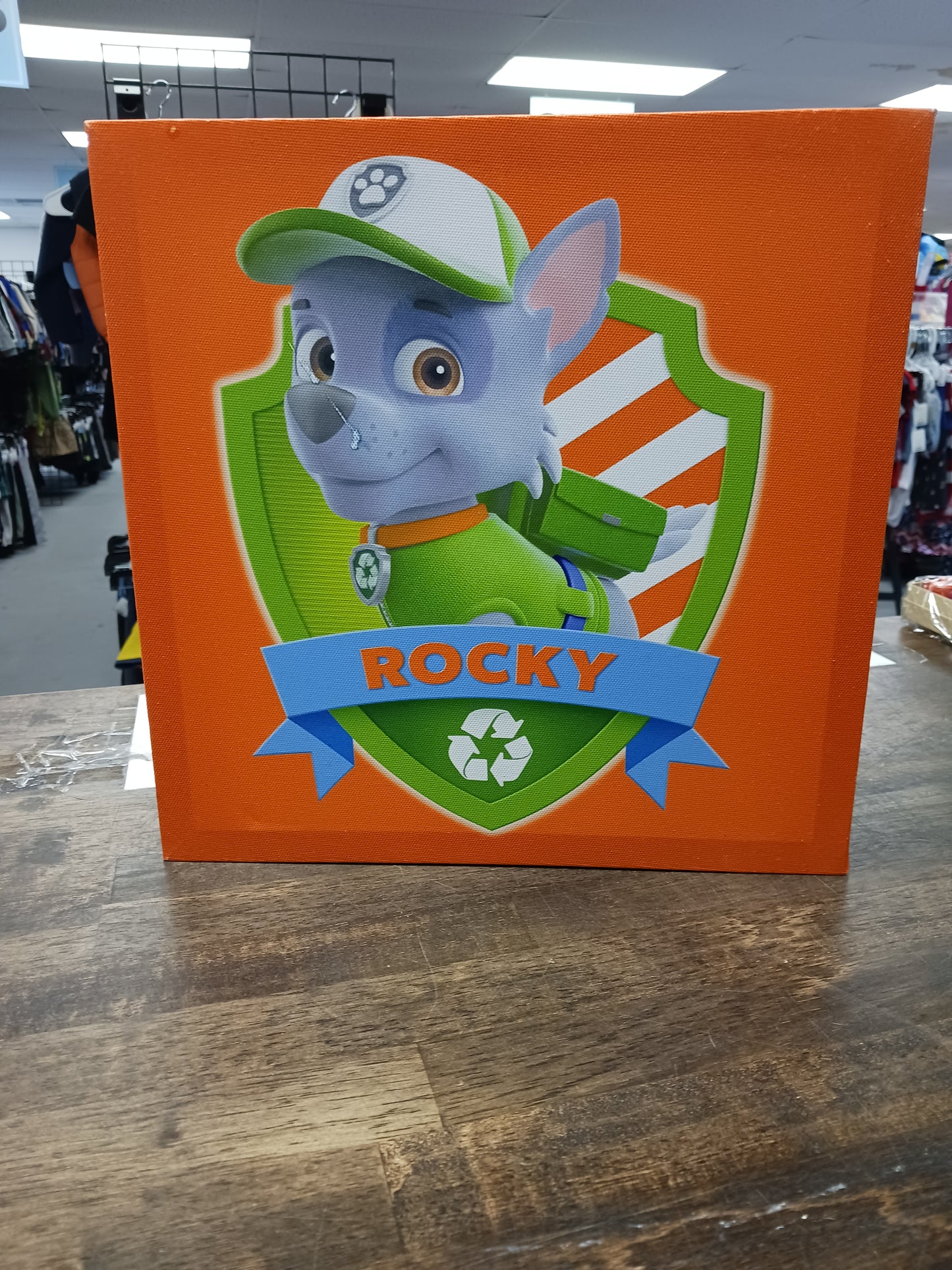 Orange/Green Paw Patrol Rocky Picture