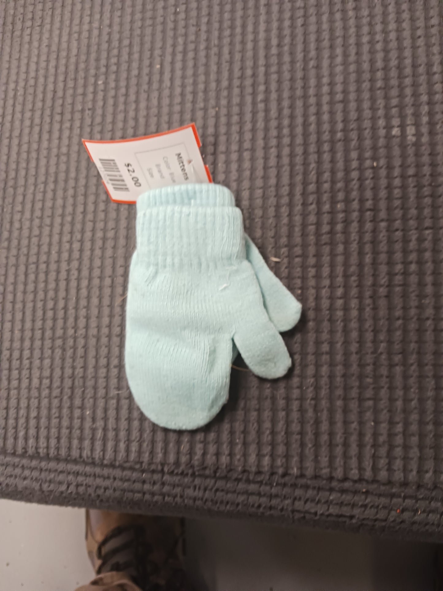 Blue Mittens
