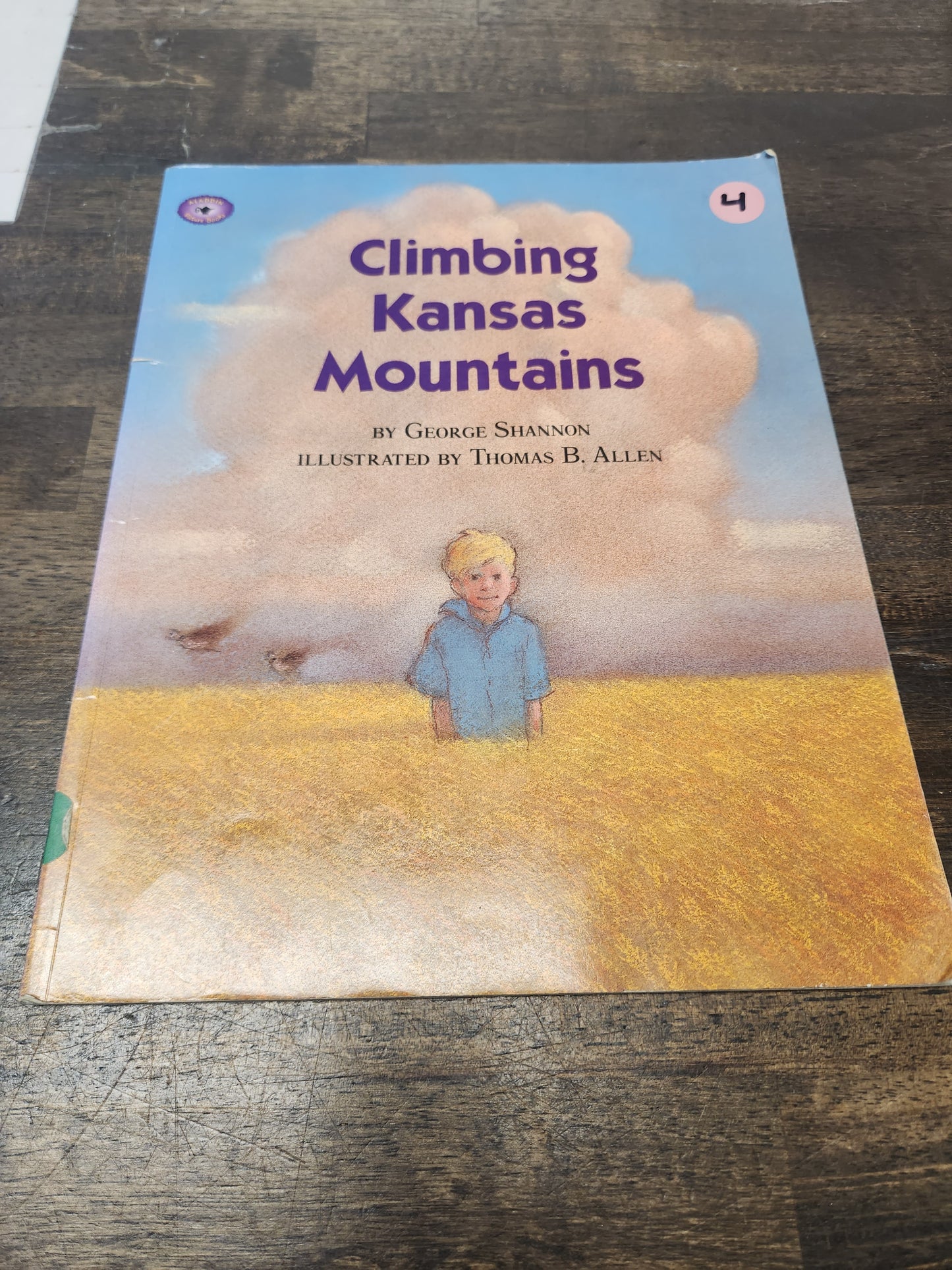 Climbing Kansas Mountains Book