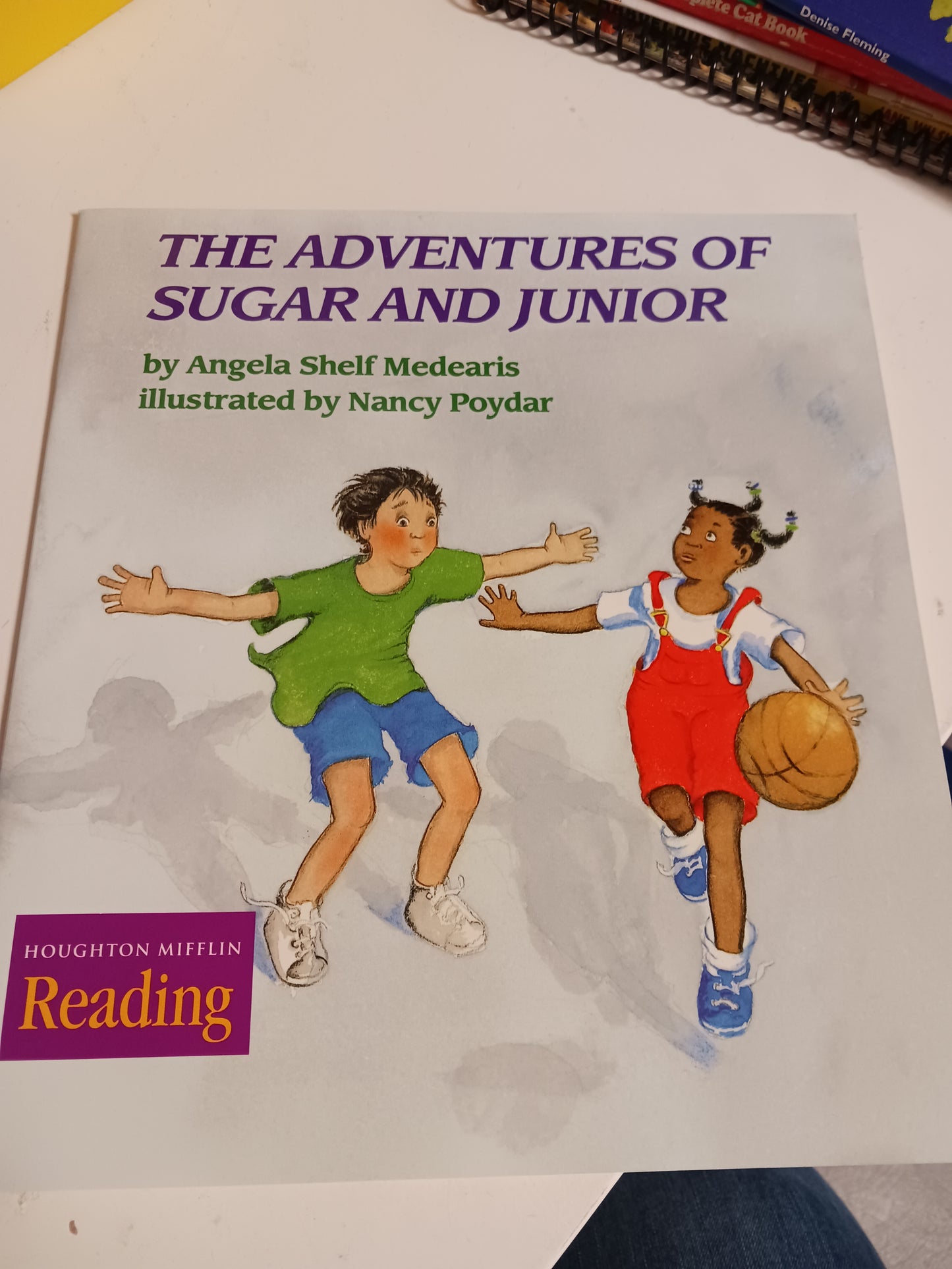 The Adventures of Sugar and Junior Book