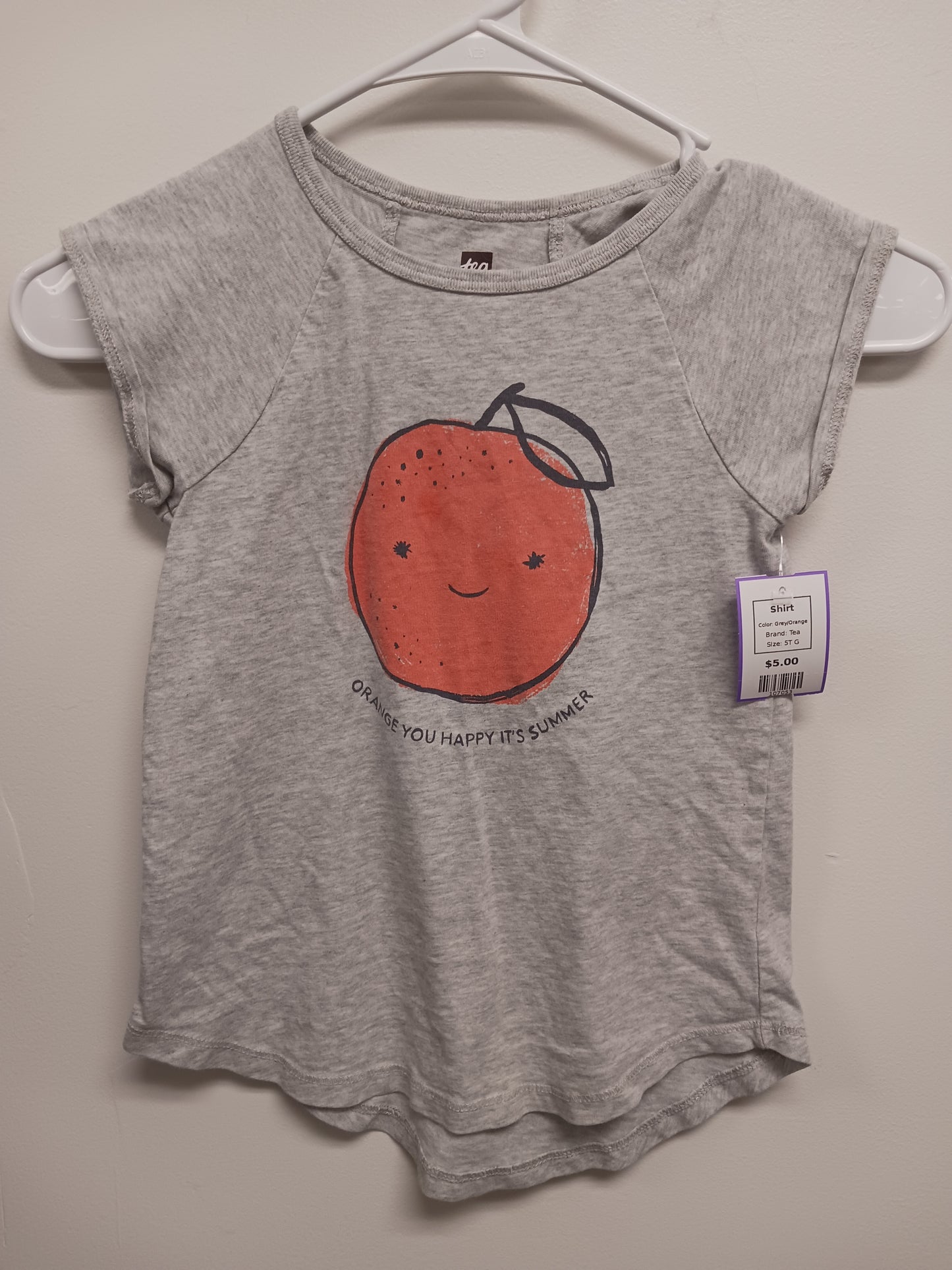 Grey/Orange Tea Shirt, 5T G