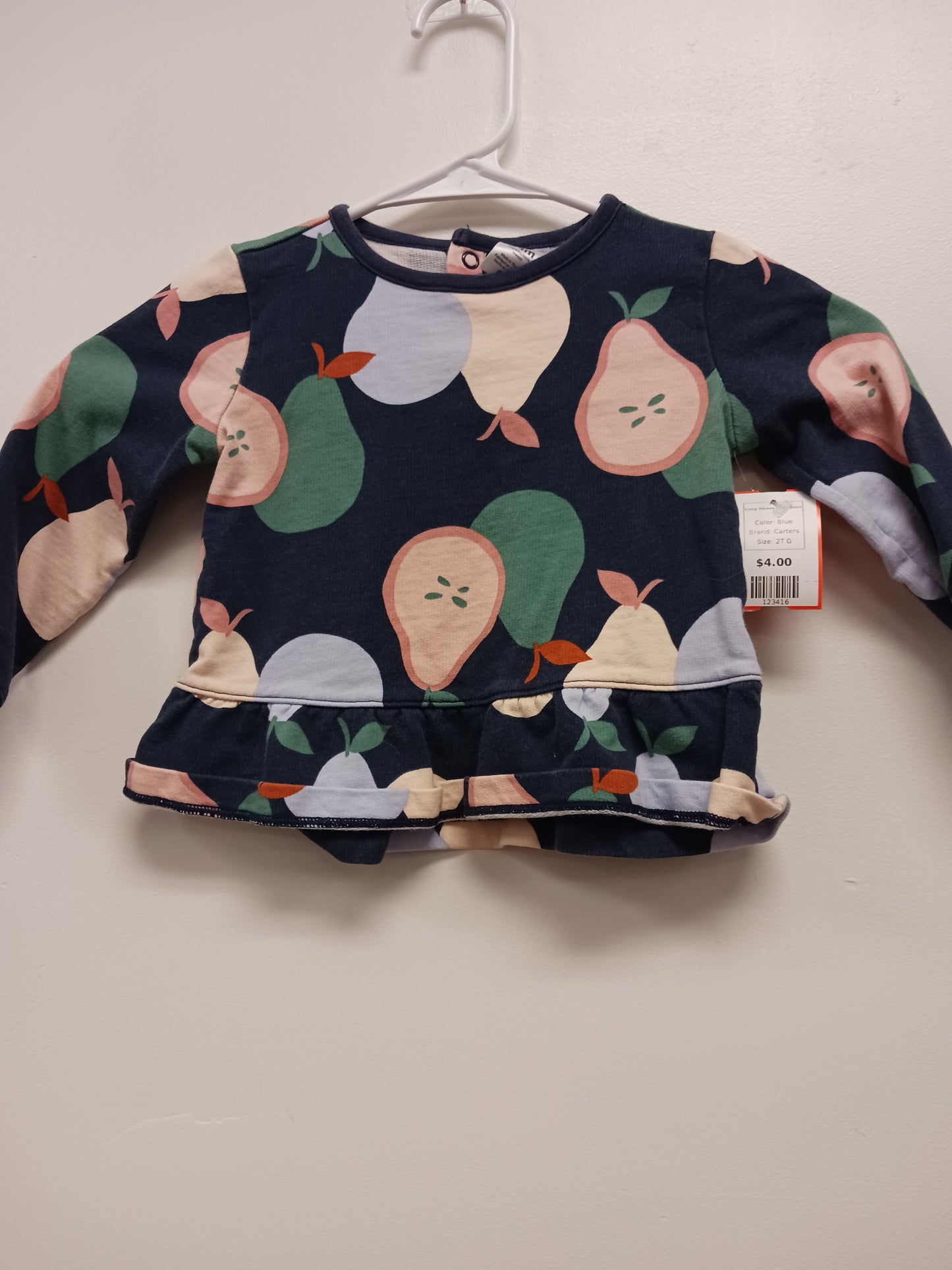 Blue Carters Long Sleeve Fruit Shirt, 2T G