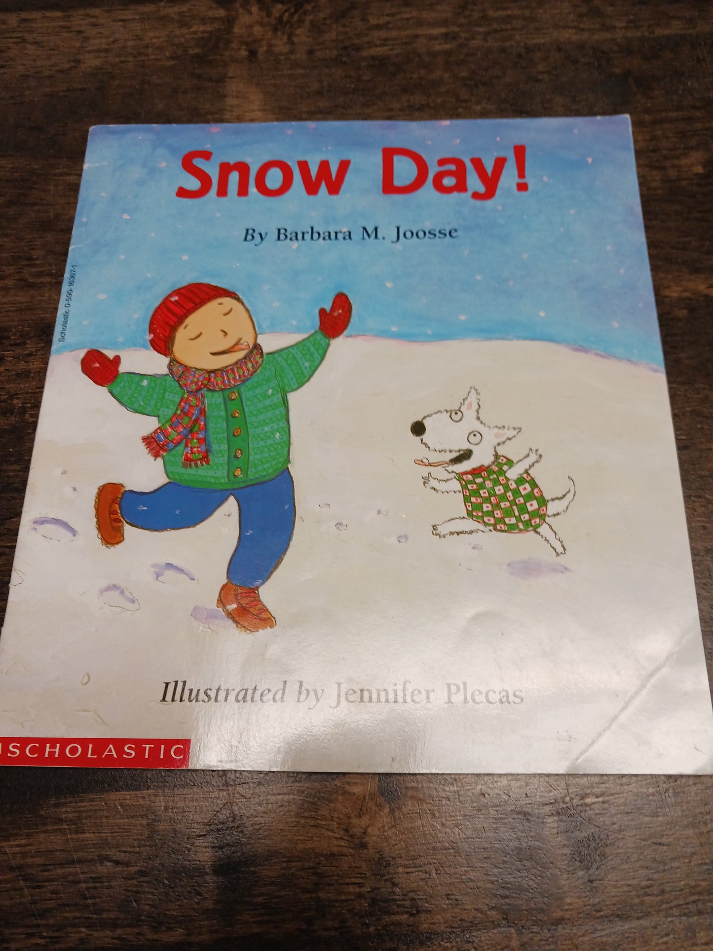 Snow Day Book