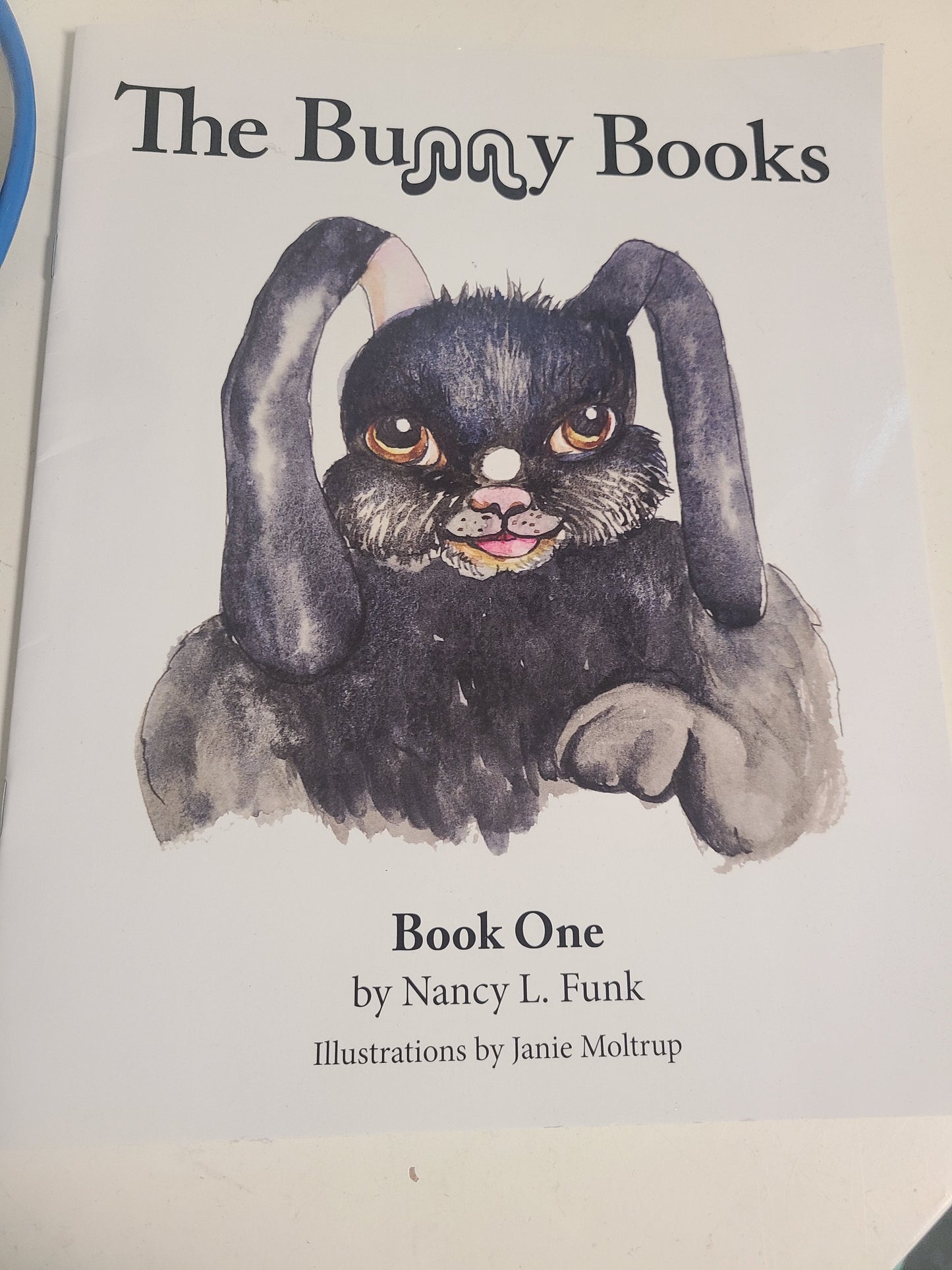 The Bunny Books Book