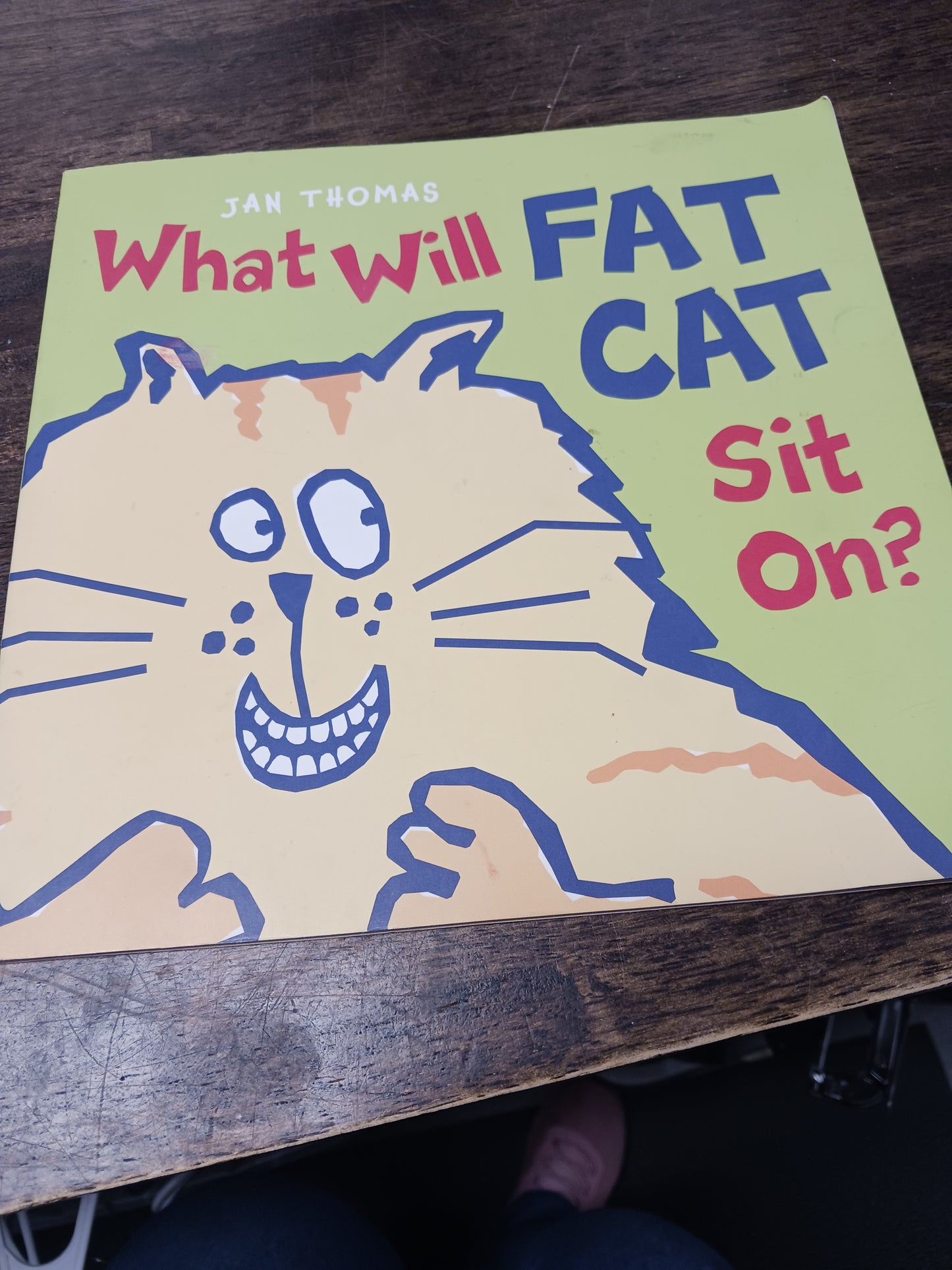 What will fat cat sit on book