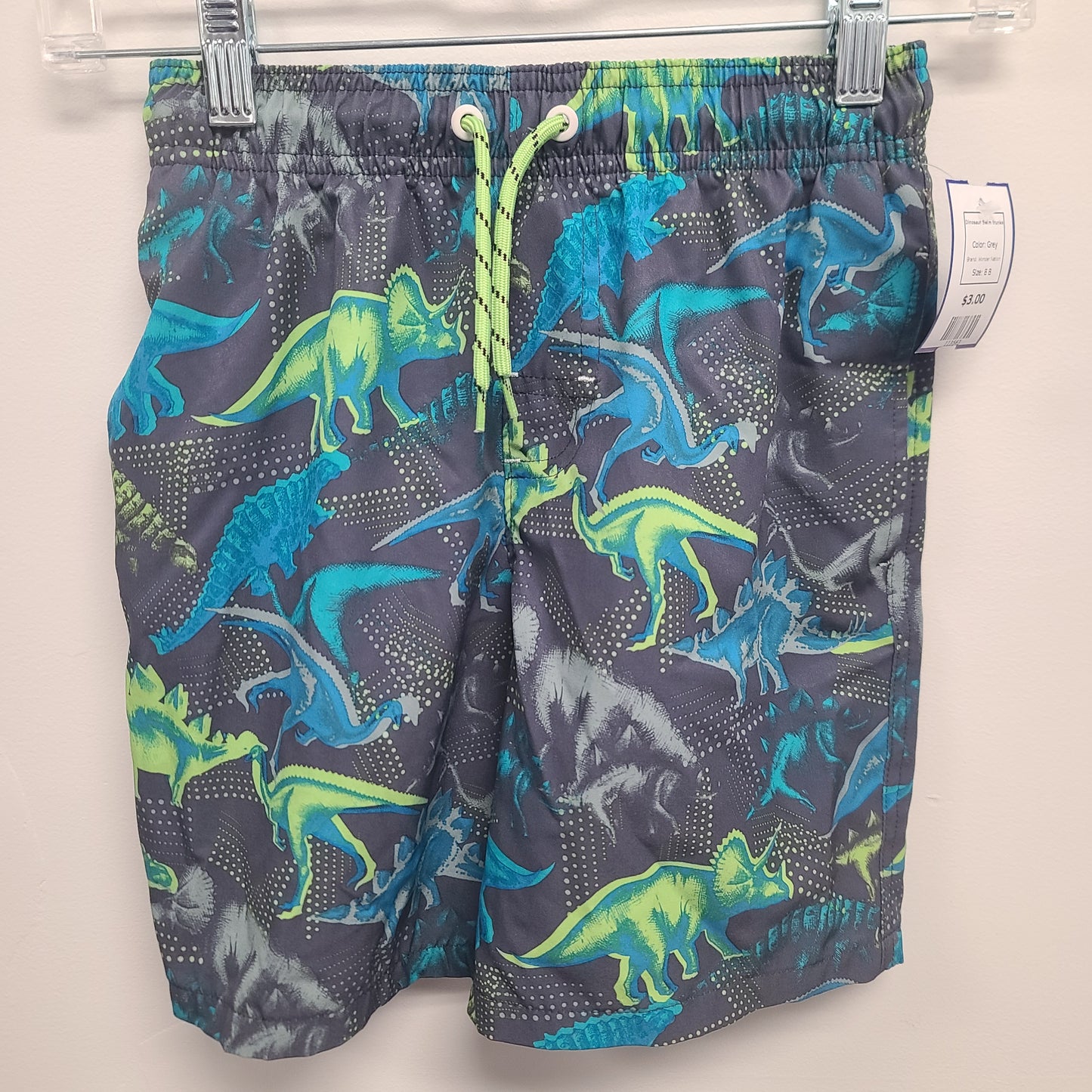 Grey Wonder Nation Dinosaur Swim trunks, 8 B