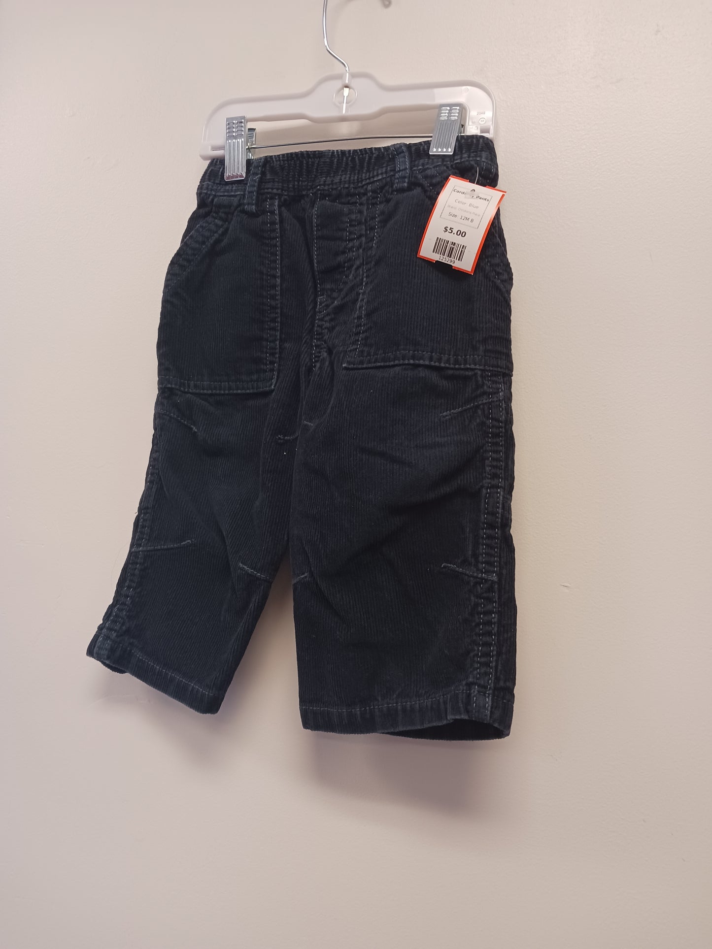 Blue Childrens Place Corduroy Pants, 12M B