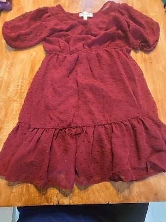 Red Wild daisy Dress, 8 G