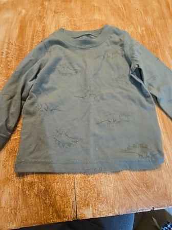 Green Carters Dinosaur long sleeve shirt, 12M B