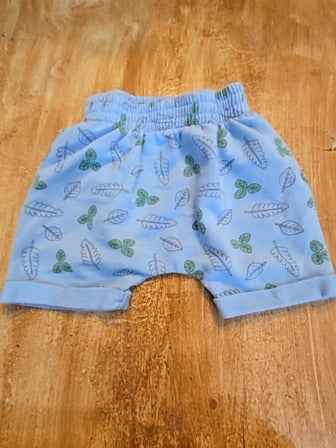 Blue Bluey Leaf shorts, 12M B