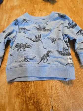 Blue OshKosh Dinosaur long sleeve, 12M B
