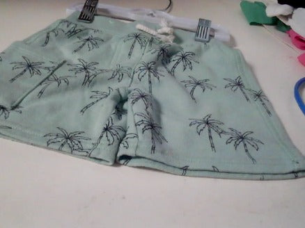Green Garanimals Shorts, 2T B