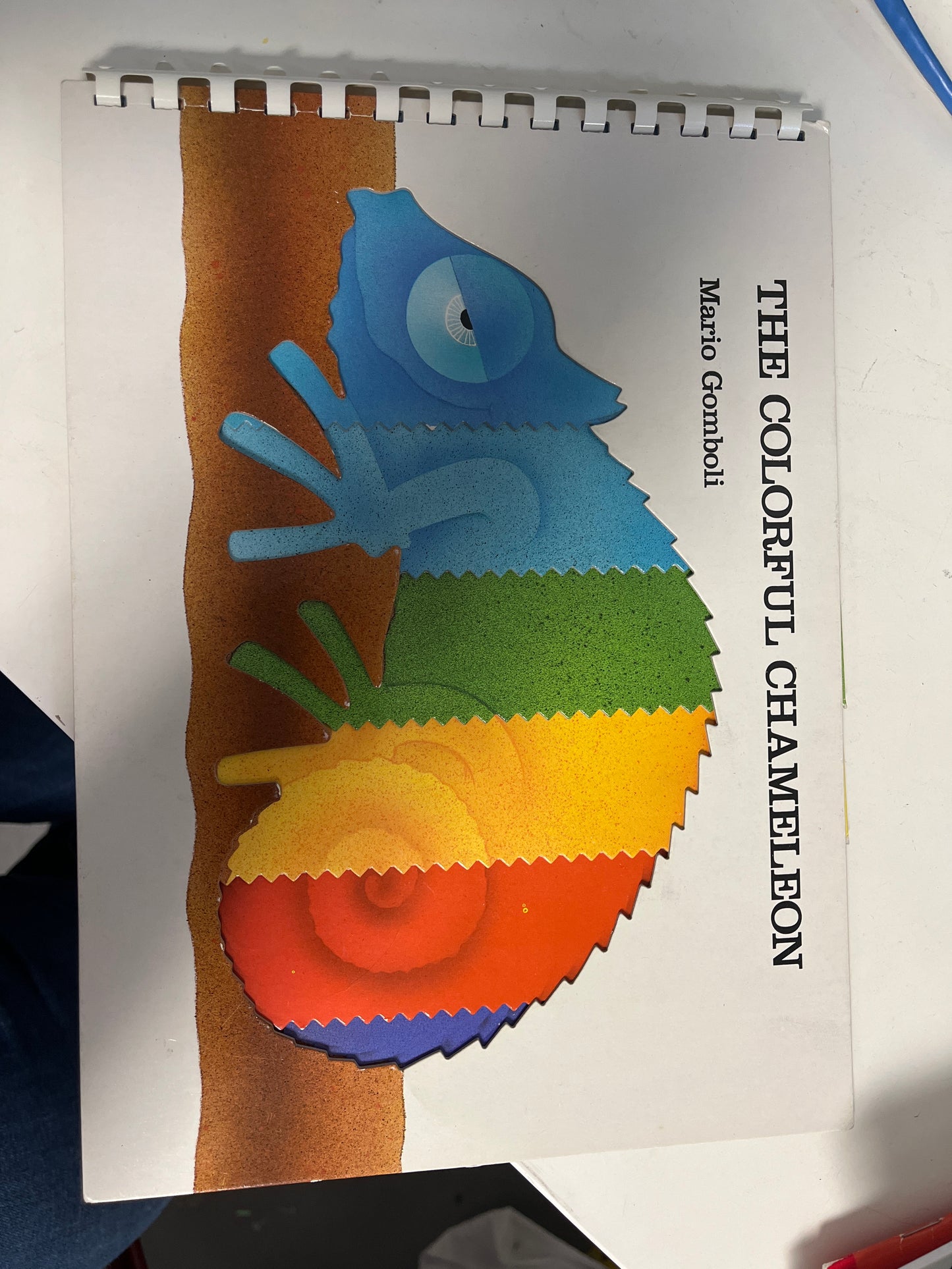 The Colorful Chameleon Book