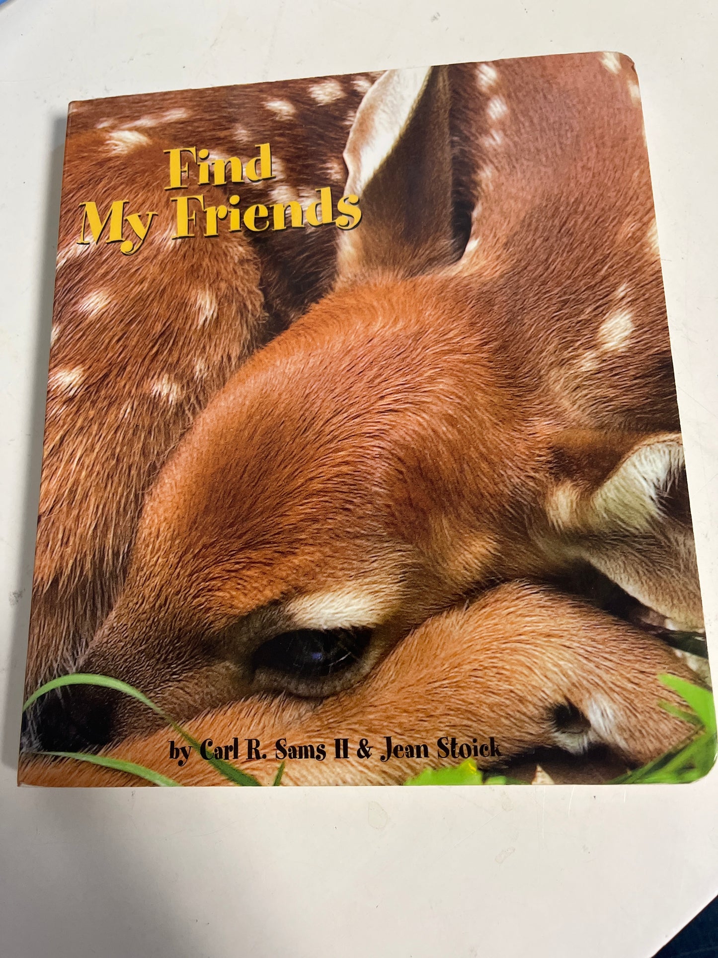 Find My Friends Book