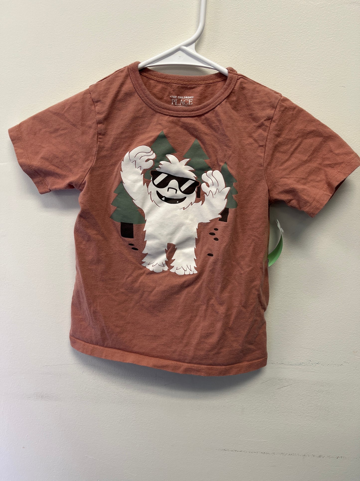 Tan Childrens Place Tshirt, 4T B