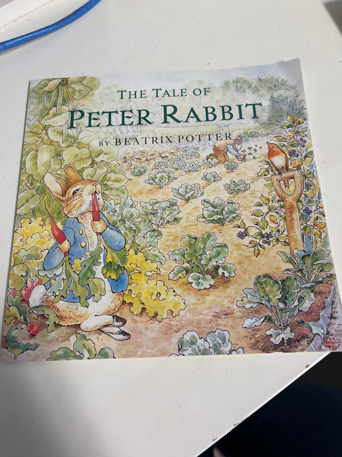 The Tale Of Peter Rabbit Book