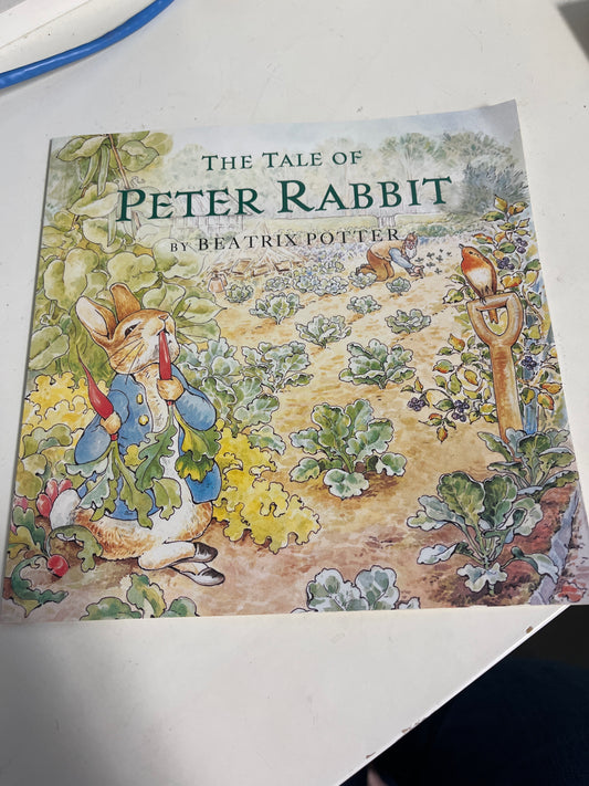 The Tale Of Peter Rabbit Book