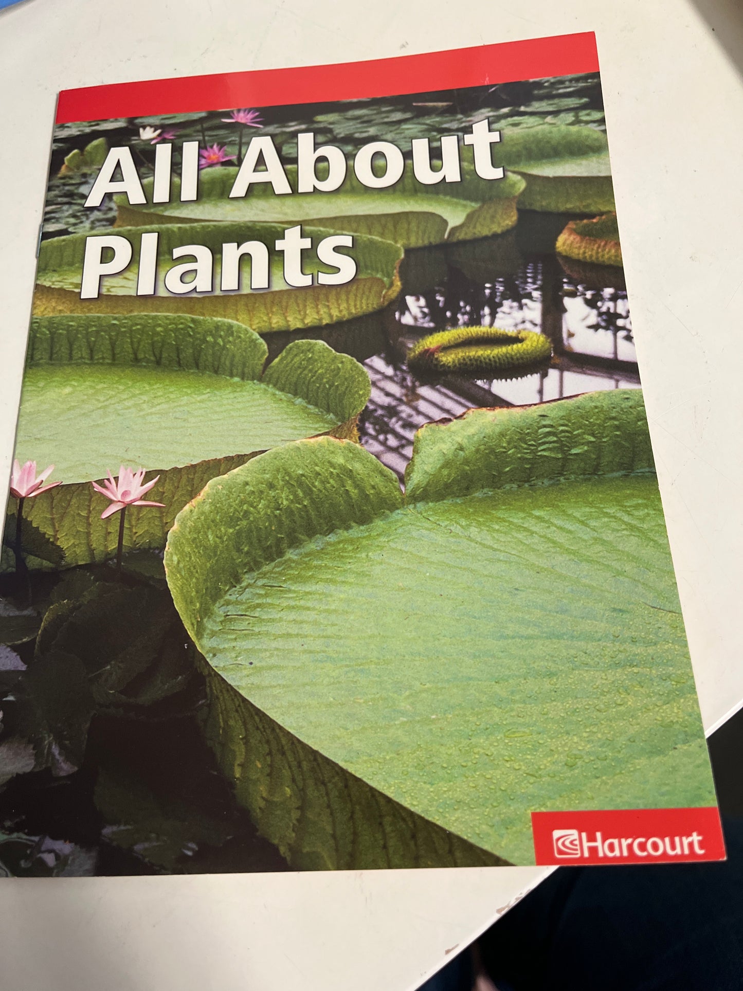All About Plants Book