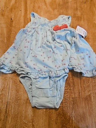 Blue/Pink Carters Dress, 12M G