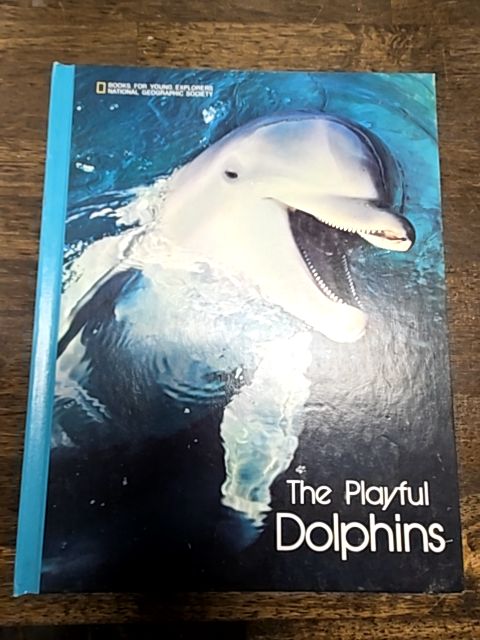 The Playful Dolphins