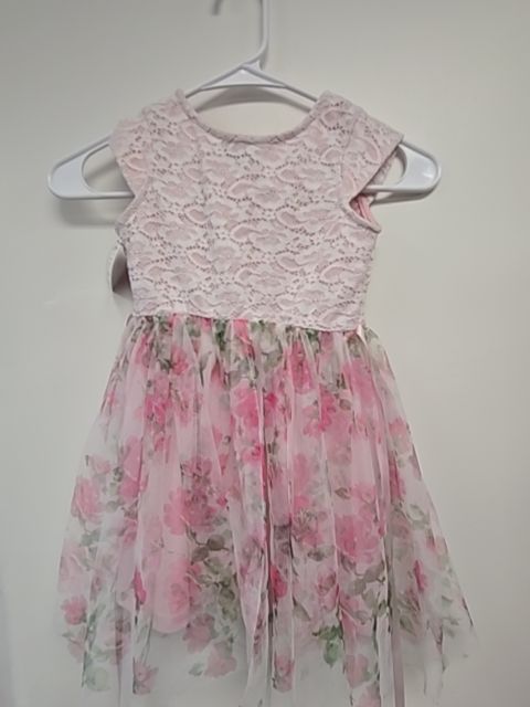 Pink/White/Green Flowers Lilt Dress, 5T G