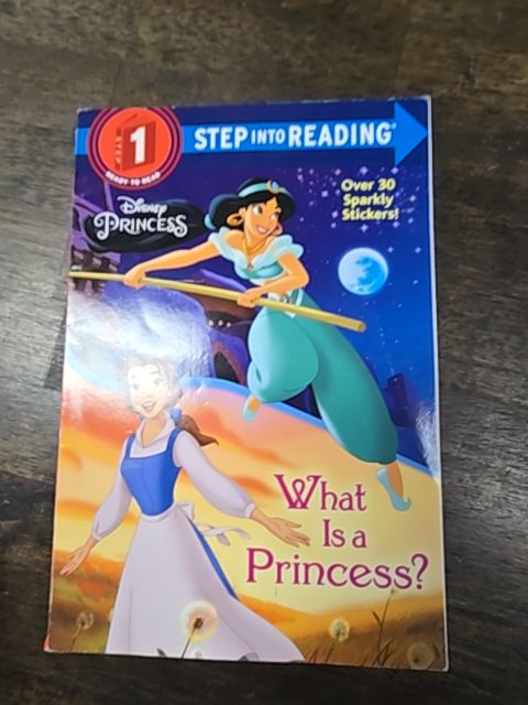 What Is A Princess? Book