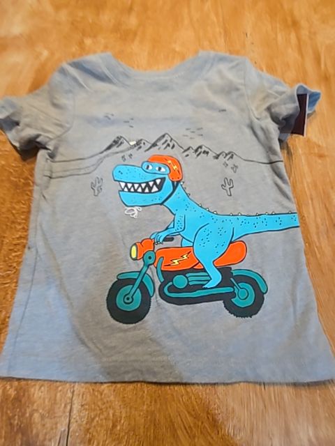 Grey Dino Cat & Jack Shirt, 2T B
