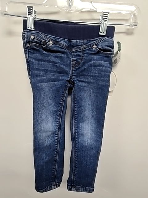 Blue Jean Hudson Pants, 3T G