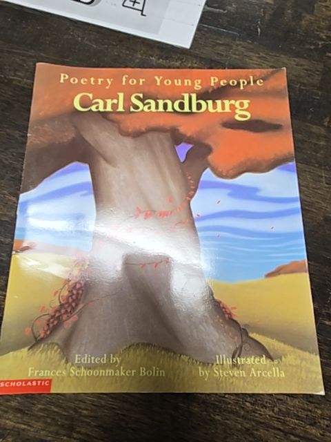 Poetry For Young People  Book