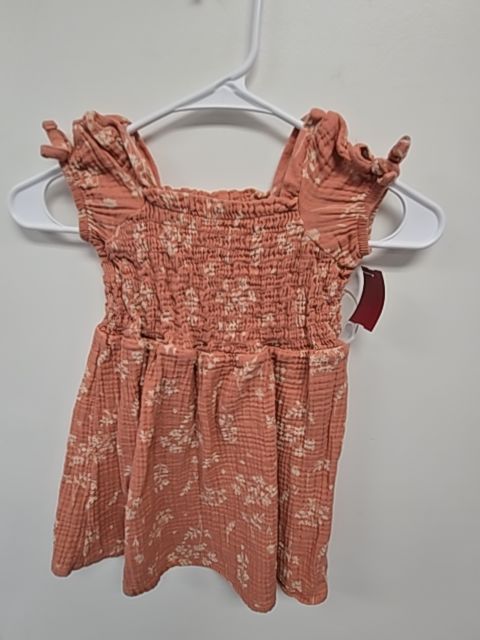 Pink/Cream Flowers Modern Moments Dress, 4T G